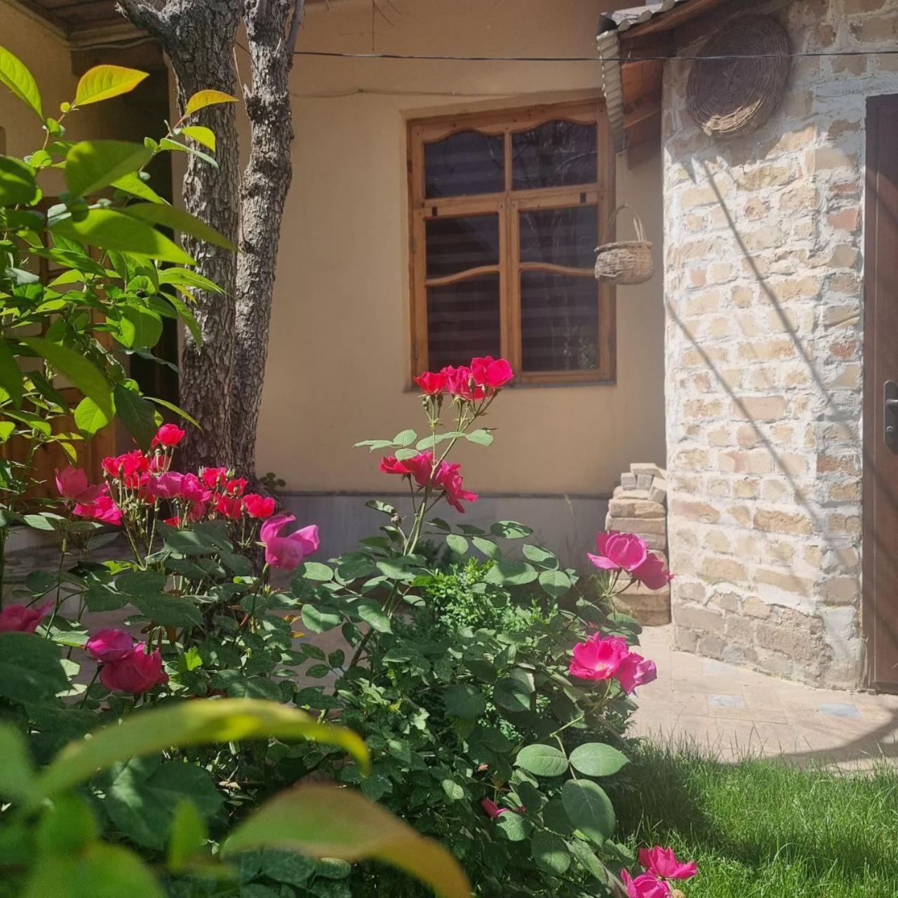 Sim-Sim Hostel & Backpackers Samarkand Ngoại thất bức ảnh